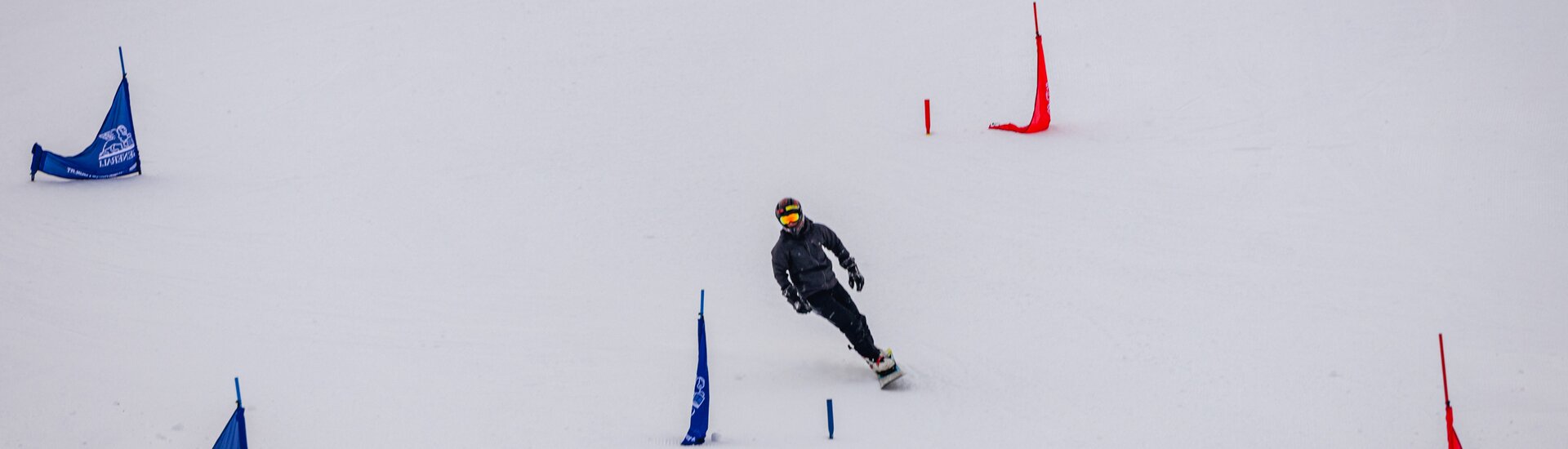 Snowbarder fährt zwischen Riesenslalom-Toren | © SkiAustria Simon Reisinger